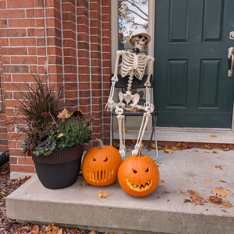 IPCO Launches Public Consultation on Appeal&nbsp;Procedures